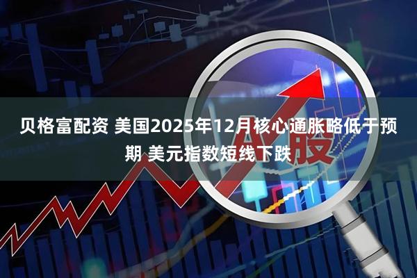贝格富配资 美国2025年12月核心通胀略低于预期 美元指数短线下跌