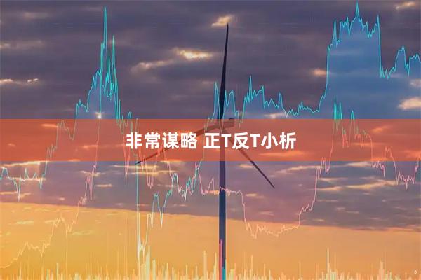 非常谋略 正T反T小析
